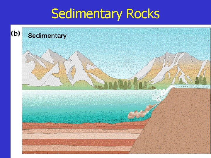 Sedimentary Rocks 