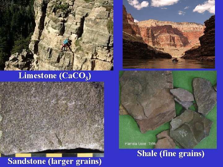 Limestone (Ca. CO 3) Sandstone (larger grains) Shale (fine grains) 