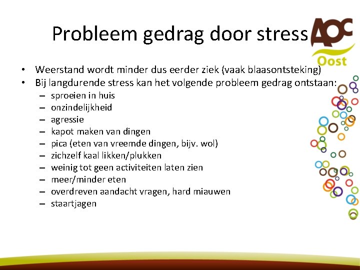 Probleem gedrag door stress • Weerstand wordt minder dus eerder ziek (vaak blaasontsteking) •