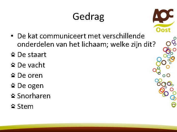 Gedrag • De kat communiceert met verschillende onderdelen van het lichaam; welke zijn dit?