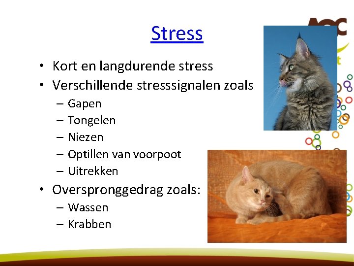 Stress • Kort en langdurende stress • Verschillende stresssignalen zoals – Gapen – Tongelen