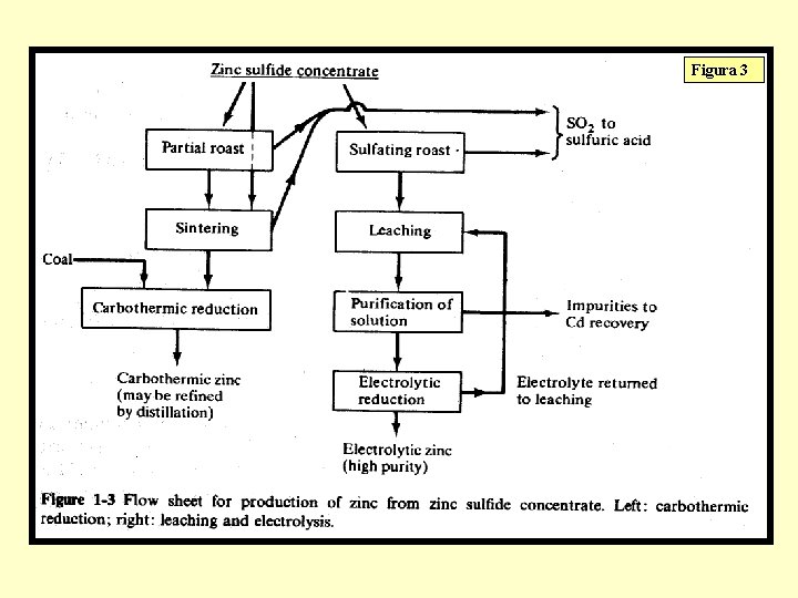 Figura 3 