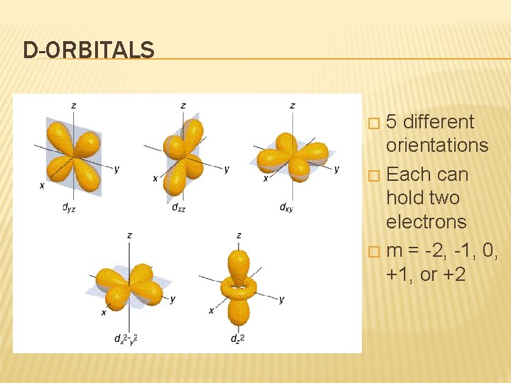 D-ORBITALS 5 different orientations � Each can hold two electrons � m = -2,