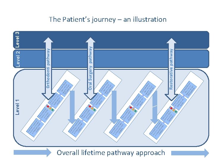 Level 1 Restorative pathway Oral Surgery pathway 0 rthodonti pathway Level 2 Level Level 1 Restorative pathway Oral Surgery pathway 0 rthodonti pathway Level 2 Level