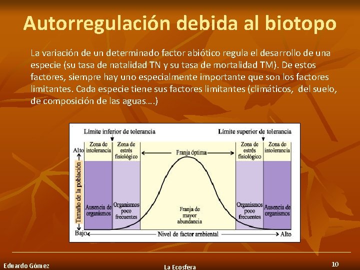 Autorregulación debida al biotopo La variación de un determinado factor abiótico regula el desarrollo