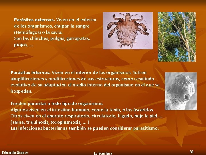 Parásitos externos. Viven en el exterior de los organismos, chupan la sangre (Hemófagos) o