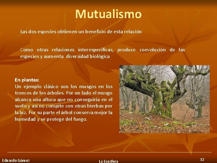 Mutualismo Las dos especies obtienen un beneficio de esta relación Como otras relaciones interespecíficas,