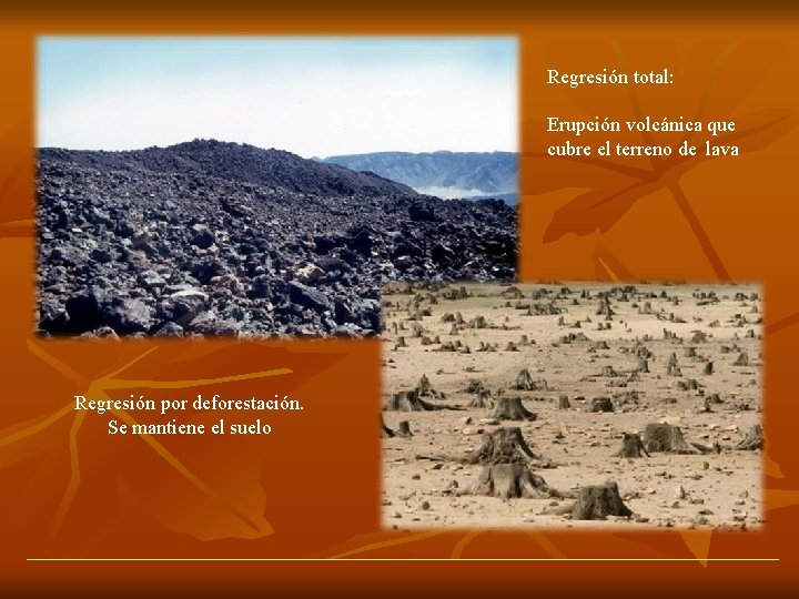 Regresión total: Erupción volcánica que cubre el terreno de lava Regresión por deforestación. Se