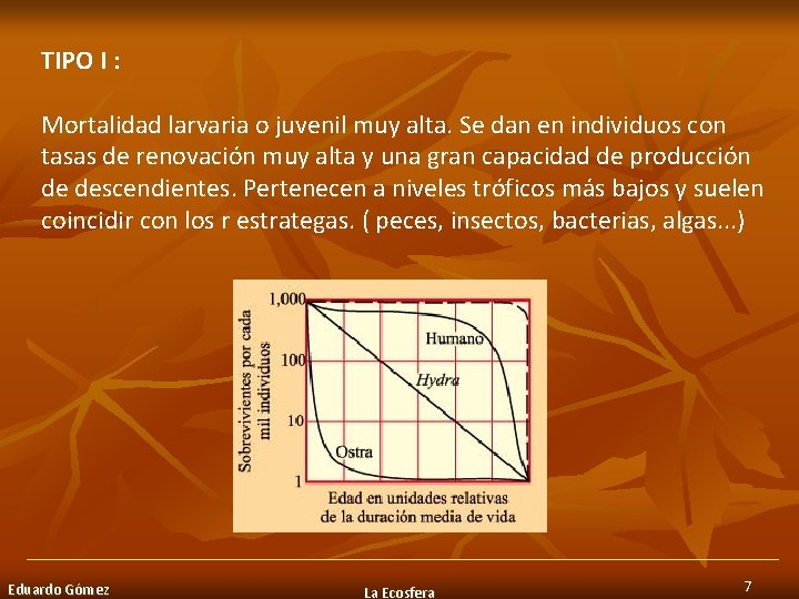 TIPO I : Mortalidad larvaria o juvenil muy alta. Se dan en individuos con