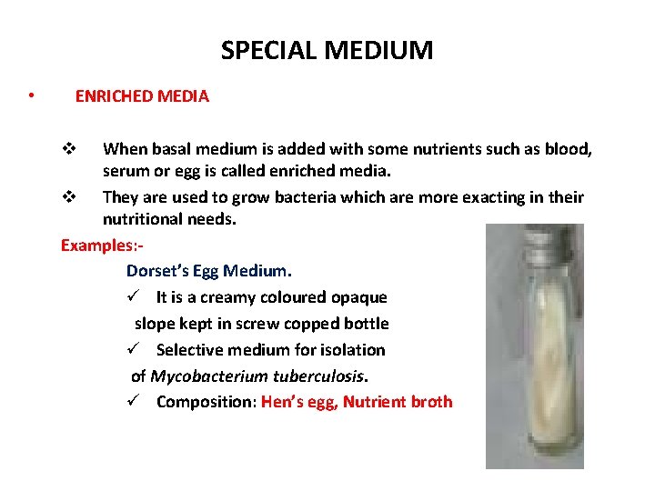 SPECIAL MEDIUM • ENRICHED MEDIA When basal medium is added with some nutrients such