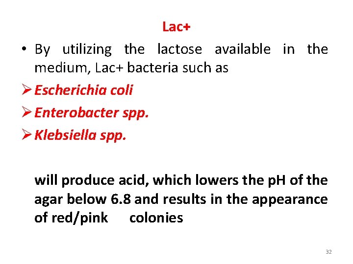Lac+ • By utilizing the lactose available in the medium, Lac+ bacteria such as