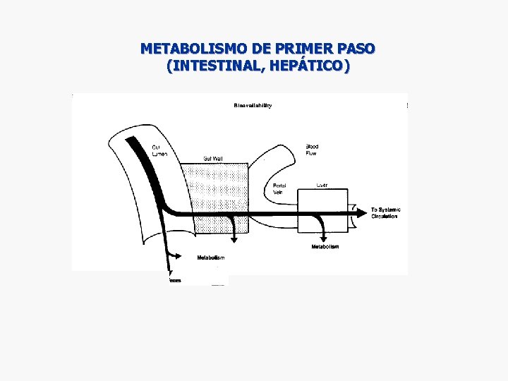 METABOLISMO DE PRIMER PASO (INTESTINAL, HEPÁTICO) METABOLISMO DE PRIMER PASO (INTESTINAL, HEPÁTICO)