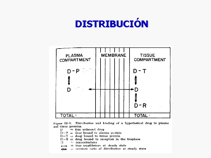 DISTRIBUCIÓN DISTRIBUCIÓN