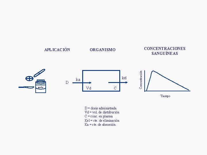 D jarabe CONCENTRACIONES SANGUÍNEAS ORGANISMO kel ka Vd C Concentración APLICACIÓN Tiempo D = D jarabe CONCENTRACIONES SANGUÍNEAS ORGANISMO kel ka Vd C Concentración APLICACIÓN Tiempo D =