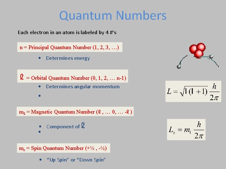 Quantum Numbers Each electron in an atom is labeled by 4 #’s n =