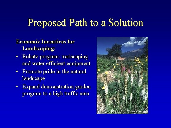 Proposed Path to a Solution Economic Incentives for Landscaping: • Rebate program: xeriscaping and