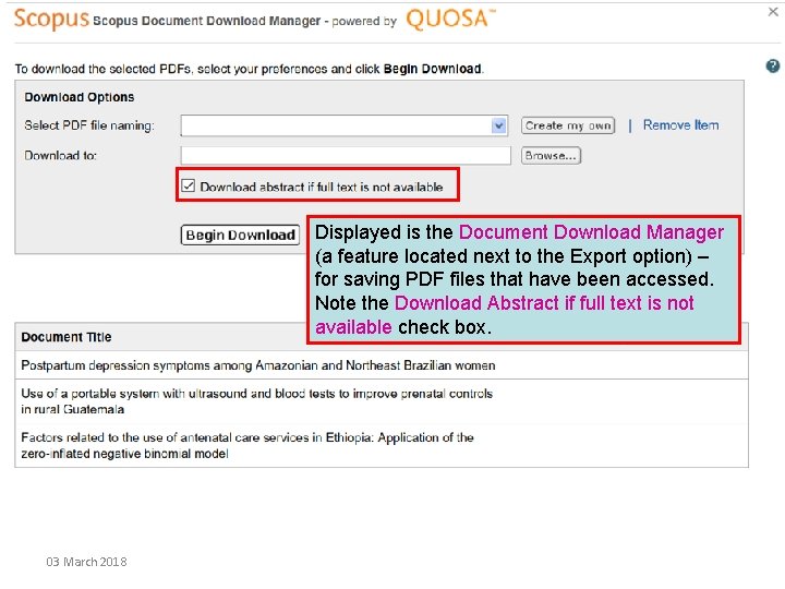 Displayed is the Document Download Manager (a feature located next to the Export option)