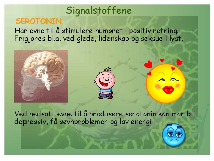 Signalstoffene SEROTONIN Har evne til å stimulere humøret i positiv retning. Frigjøres bl. a.