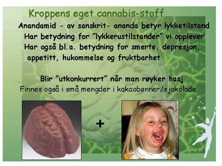 Kroppens eget cannabis-stoff Anandamid - av sanskrit- ananda betyr lykketilstand Har betydning for ”lykkerustilstander”