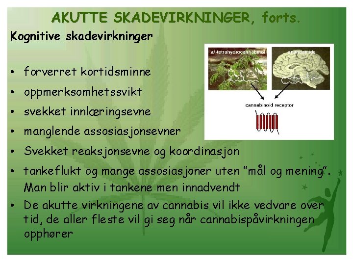 AKUTTE SKADEVIRKNINGER, forts. Kognitive skadevirkninger • forverret kortidsminne • oppmerksomhetssvikt • svekket innlæringsevne •