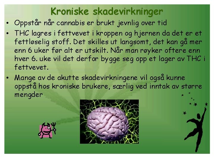 Kroniske skadevirkninger • Oppstår når cannabis er brukt jevnlig over tid • THC lagres