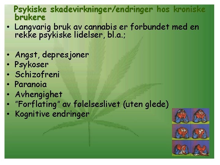 Psykiske skadevirkninger/endringer hos kroniske brukere • Langvarig bruk av cannabis er forbundet med en