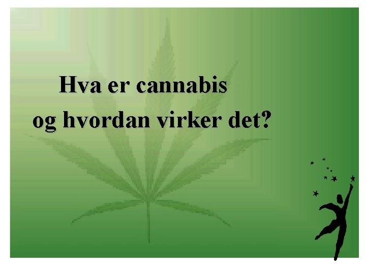  Hva er cannabis og hvordan virker det? 