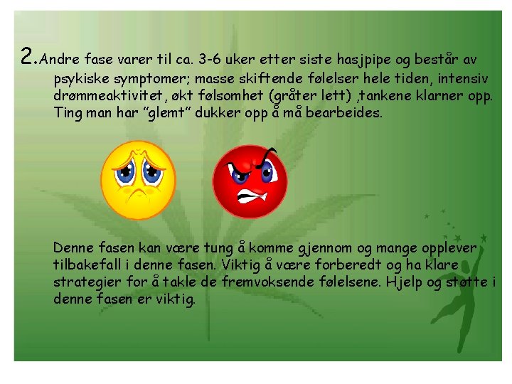 2. Andre fase varer til ca. 3 -6 uker etter siste hasjpipe og består