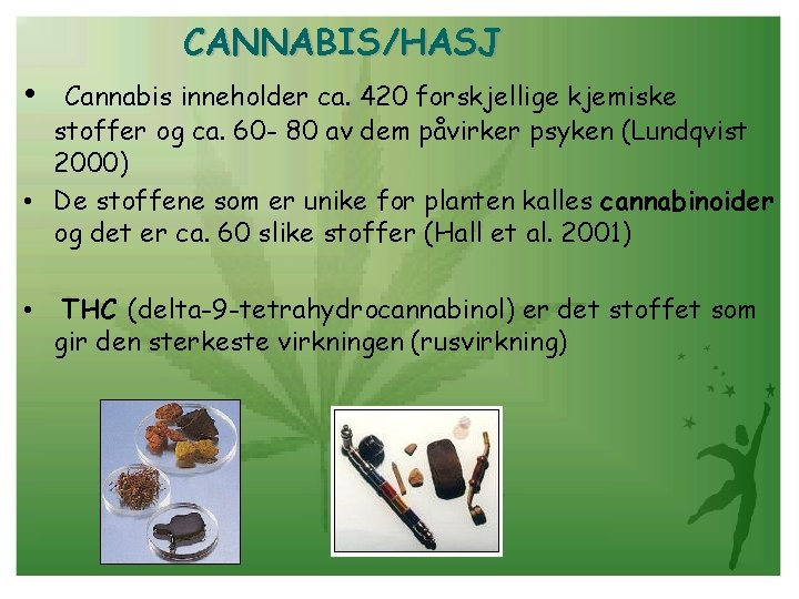 CANNABIS/HASJ • Cannabis inneholder ca. 420 forskjellige kjemiske stoffer og ca. 60 - 80