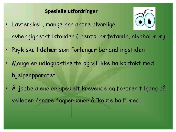 Spesielle utfordringer • Lavterskel , mange har andre alvorlige avhengighetstilstander ( benzo, amfetamin, alkohol