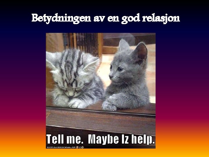 Betydningen av en god relasjon 
