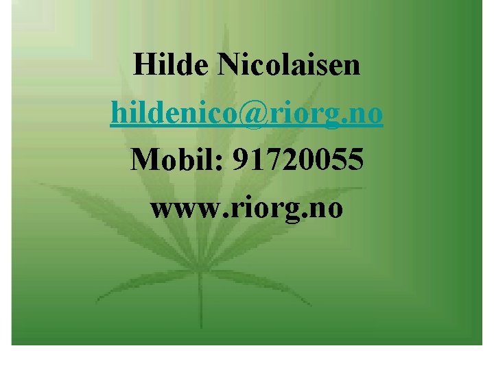 Hilde Nicolaisen hildenico@riorg. no Mobil: 91720055 www. riorg. no 