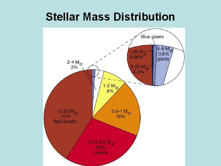 Stellar Mass Distribution 