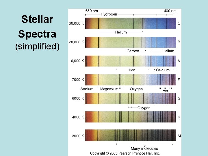 Stellar Spectra (simplified) 