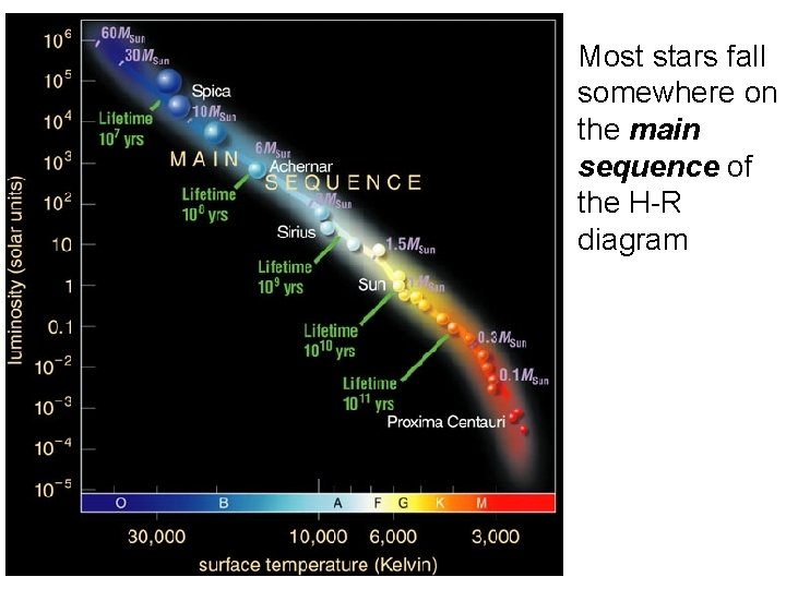 Most stars fall somewhere on the main sequence of the H-R diagram 