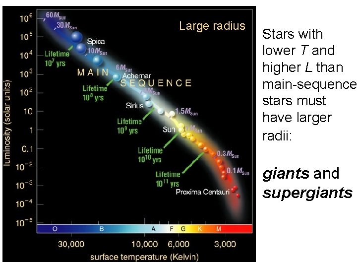 Large radius Stars with lower T and higher L than main-sequence stars must have