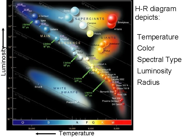 H-R diagram depicts: Temperature Luminosity Color Spectral Type Luminosity Radius Temperature 