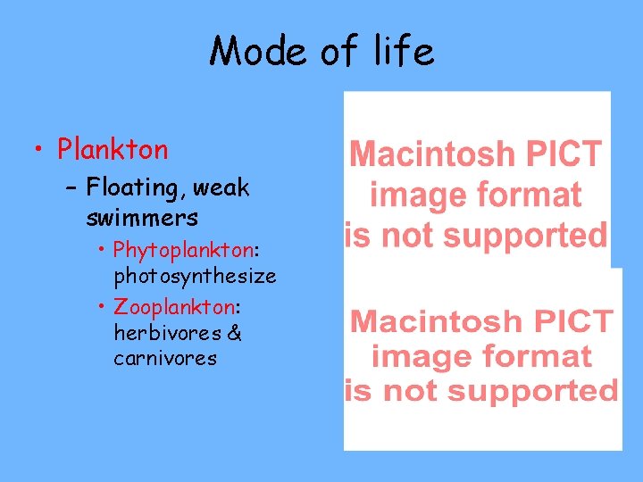 Mode of life • Plankton – Floating, weak swimmers • Phytoplankton: photosynthesize • Zooplankton: