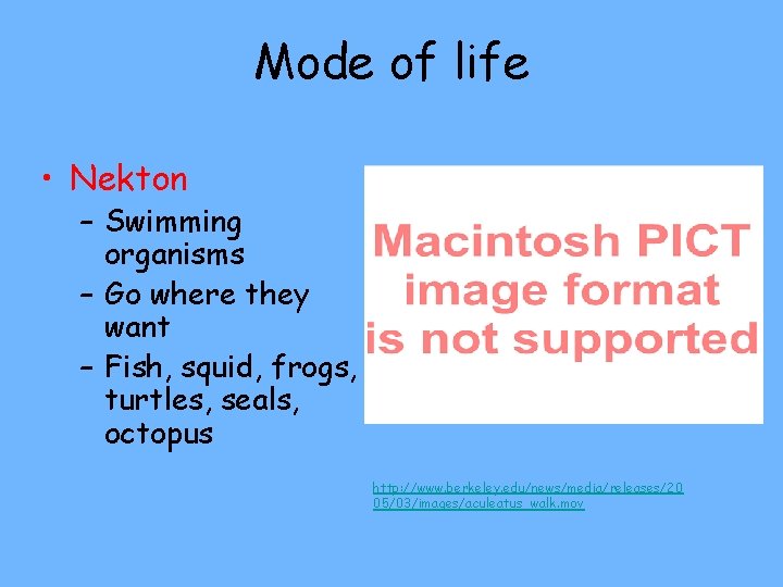 Mode of life • Nekton – Swimming organisms – Go where they want –