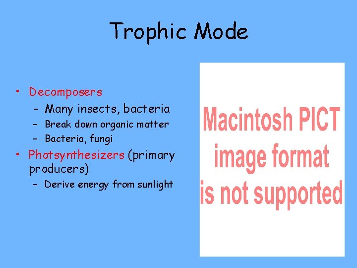 Trophic Mode • Decomposers – Many insects, bacteria – Break down organic matter –