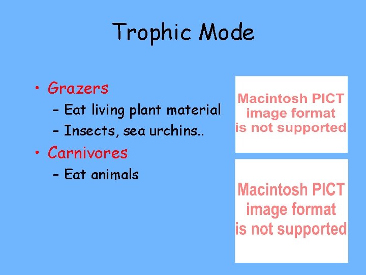 Trophic Mode • Grazers – Eat living plant material – Insects, sea urchins. .