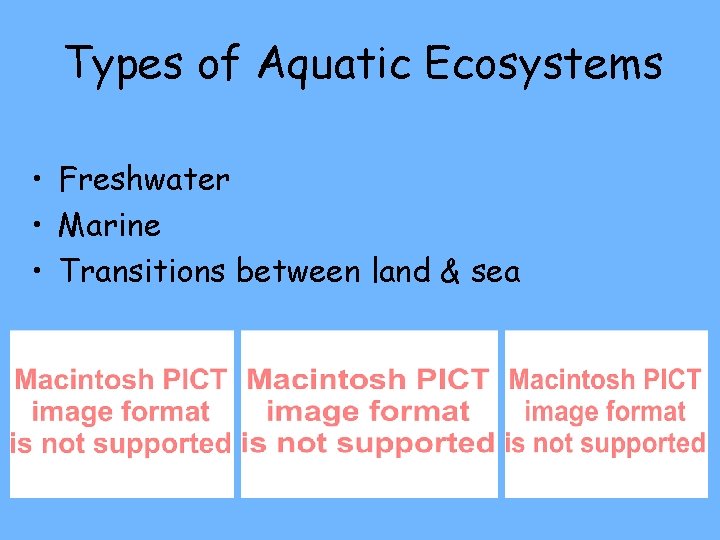 Types of Aquatic Ecosystems • Freshwater • Marine • Transitions between land & sea