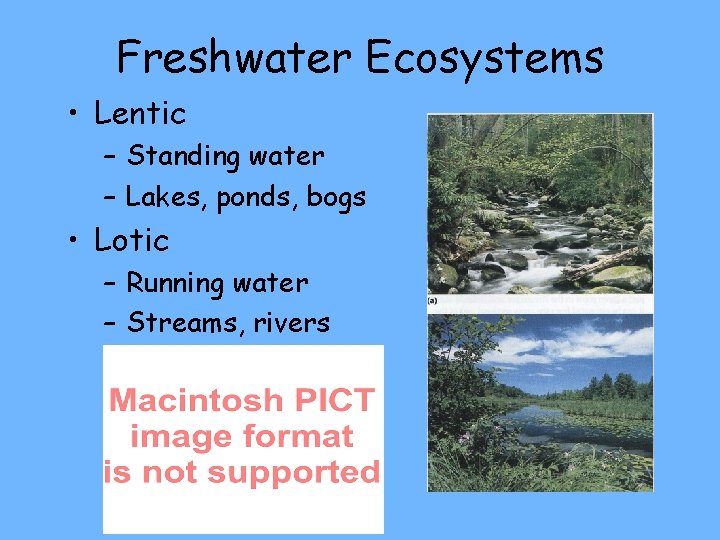 Freshwater Ecosystems • Lentic – Standing water – Lakes, ponds, bogs • Lotic –