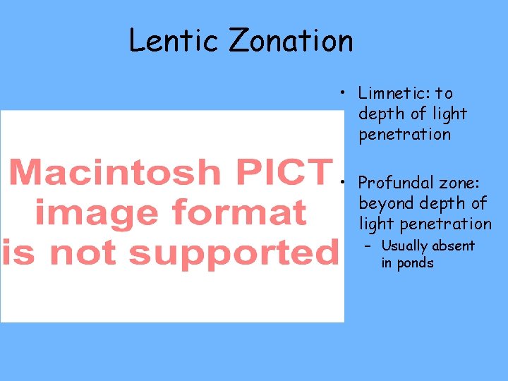 Lentic Zonation • Limnetic: to depth of light penetration • Profundal zone: beyond depth