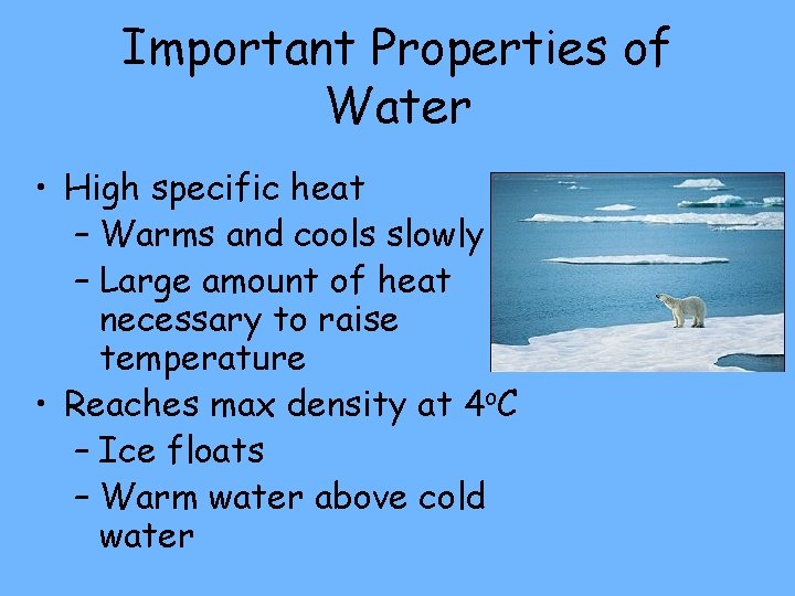 Important Properties of Water • High specific heat – Warms and cools slowly –