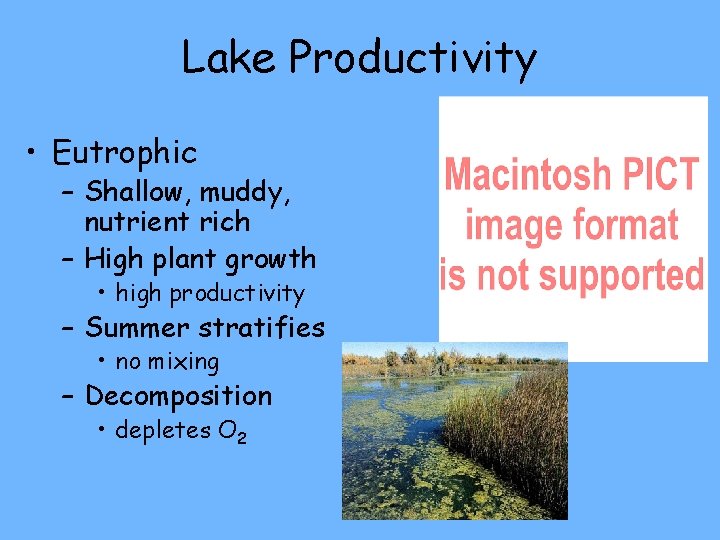 Lake Productivity • Eutrophic – Shallow, muddy, nutrient rich – High plant growth •