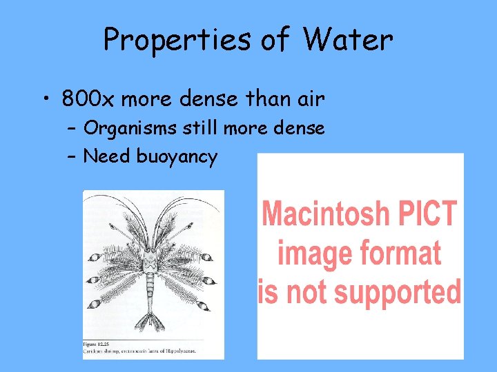 Properties of Water • 800 x more dense than air – Organisms still more