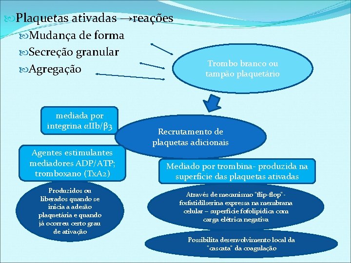  Plaquetas ativadas →reações Mudança de forma Secreção granular Agregação mediada por integrina αIIb/β