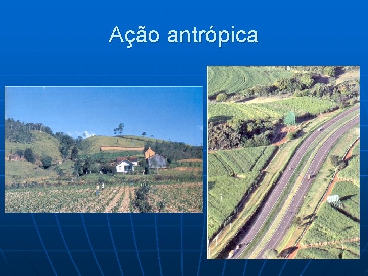 Ação antrópica 