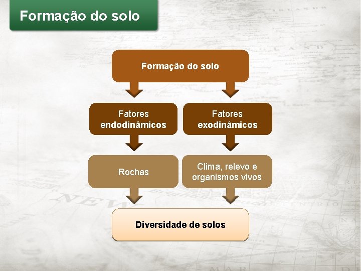 Formação do solo Fatores endodinâmicos Fatores exodinâmicos Rochas Clima, relevo e organismos vivos Diversidade